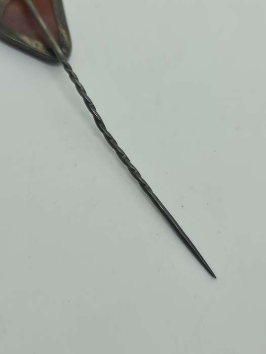 Jasper set in silver Tone pin