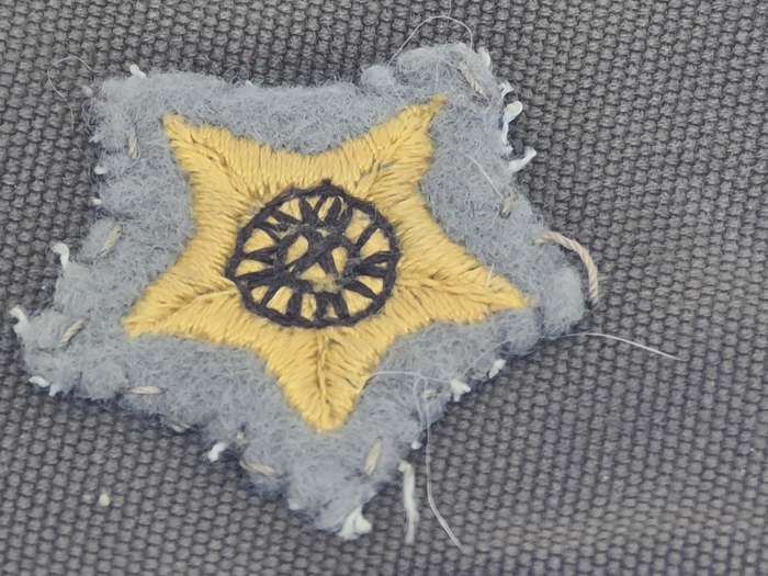 SS Army Rank Star slip on