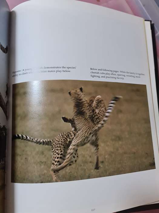 Book: Cheetah, Kathrine & Carl Ammann