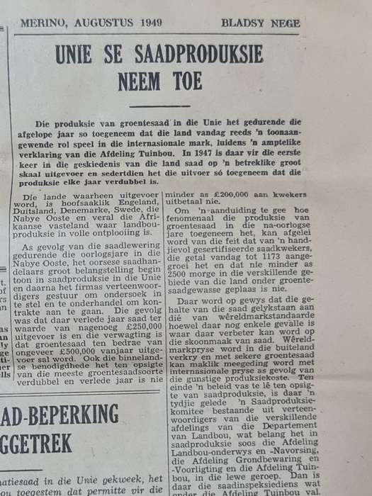 Merino, Bloemfontein August 1949 News Paper