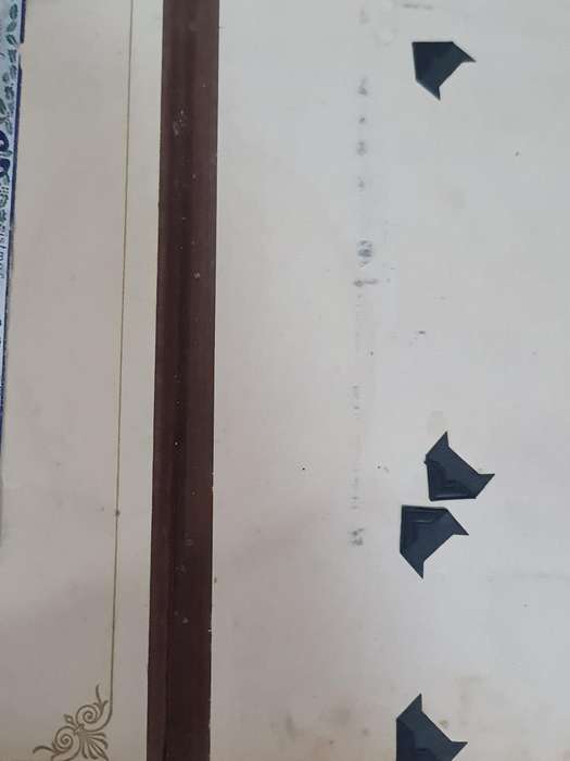 Victorian Photo Album