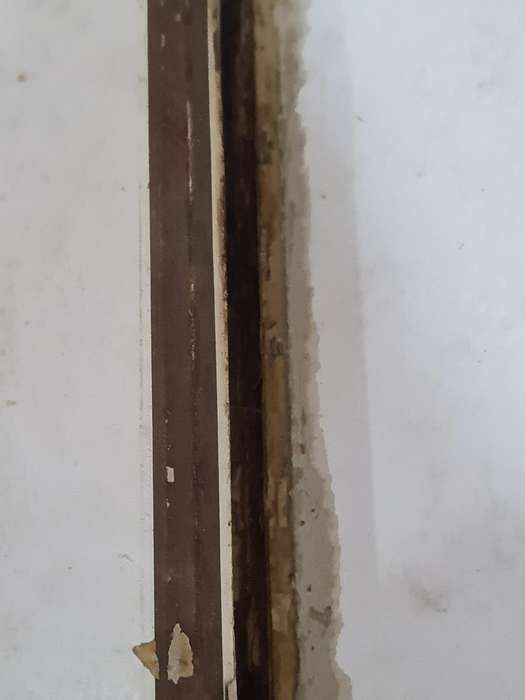 Victorian Photo Album