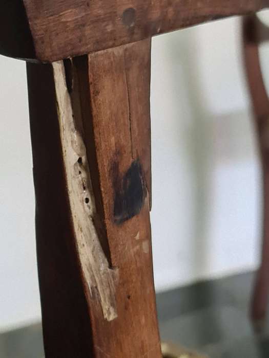 Early 19th Century riempies child feeding bow chair