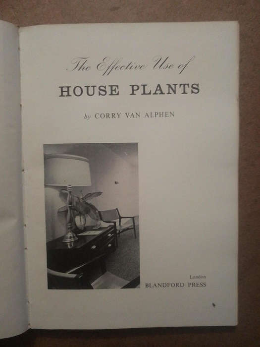 The Effective use of House Plants