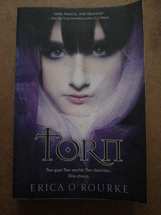 Erica O'Rourke - Torn