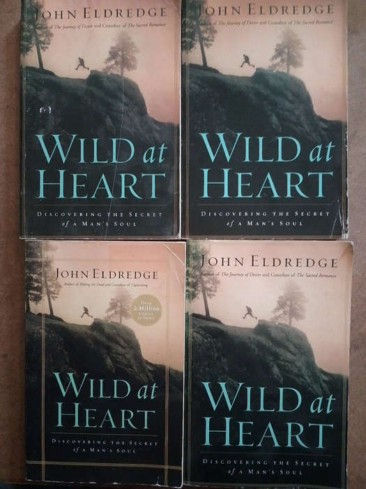John Eldredge - Wild at Heart