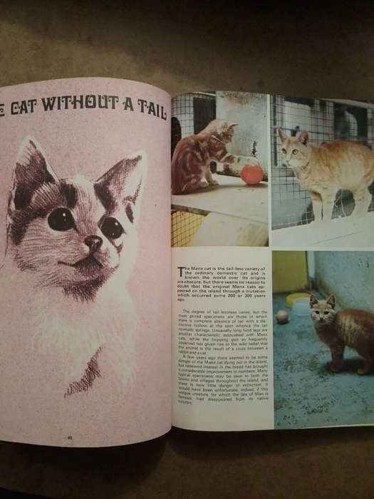 Princess - gift book for girls - Rare vintage 1971