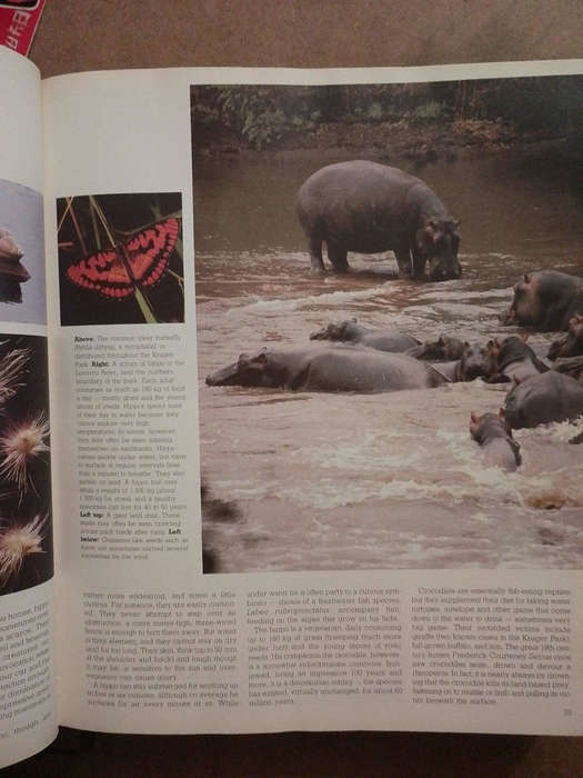 Game Parks & Nature Reserves of Southern Africa