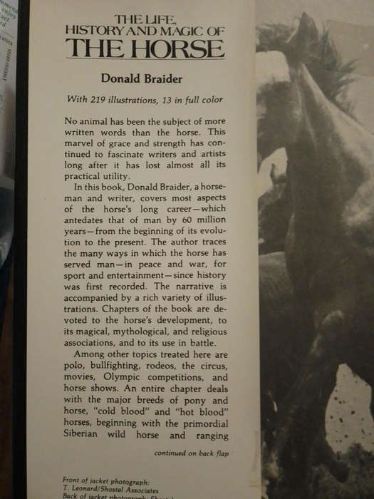 The Life, History and Magic of the Horse