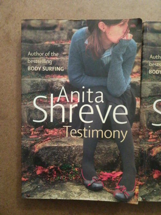 Anita Shreve - Testimony