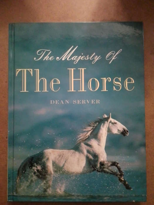 The Majesty of the Horse