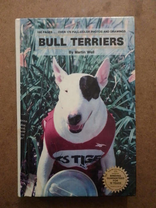 Bull Terriers