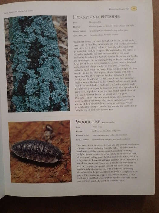 The Natural History of the British Isles
