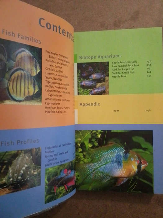 Topical Freshwater Aquarium fish