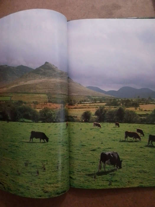 Ireland