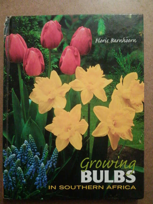 Growing Bulbs in South Africa
