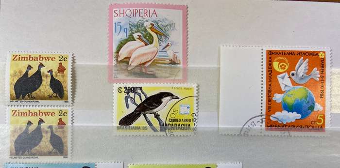 BIRDS - SELECTION of Blocks, pairs, singles mint & CTO - PELICAN GUINEA FOWL OWLS BIRDS OF PREY