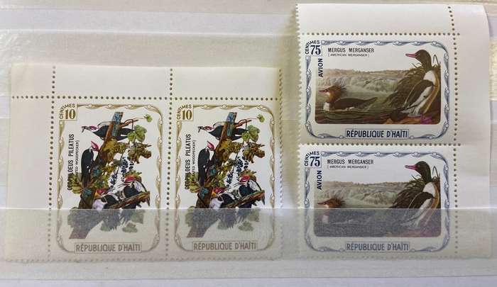 BIRDS - SELECTION of Blocks, pairs, singles mint & CTO - PIGEONS WOODPECKER DUCKS WHOOPING CRANE