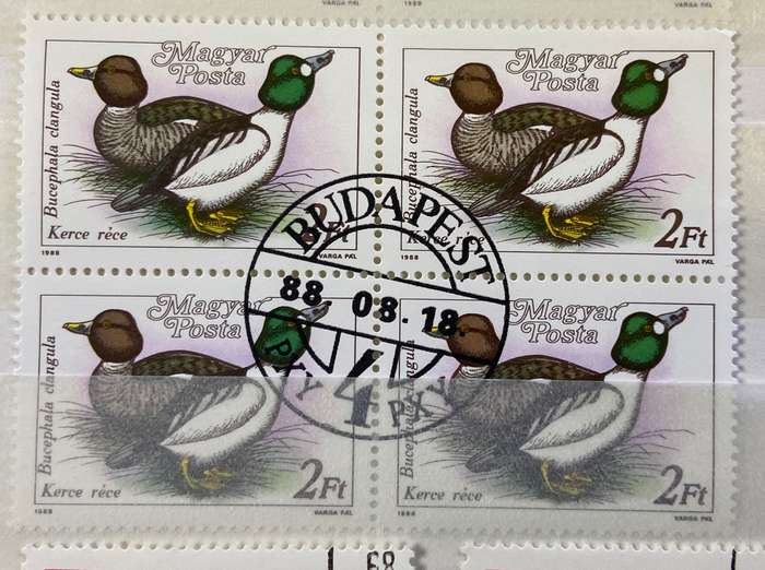 BIRDS - SELECTION of Blocks, pairs, singles CTO - HUNGARY - DUCKS STORKS CRANES