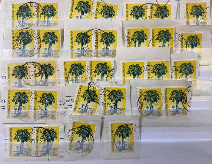 SOUTH WEST AFRICA POSTMARKS on piece x 33  (SWA) mostly ORANJEMUND - 2c SACC 202 QUIVER TREE - 1961