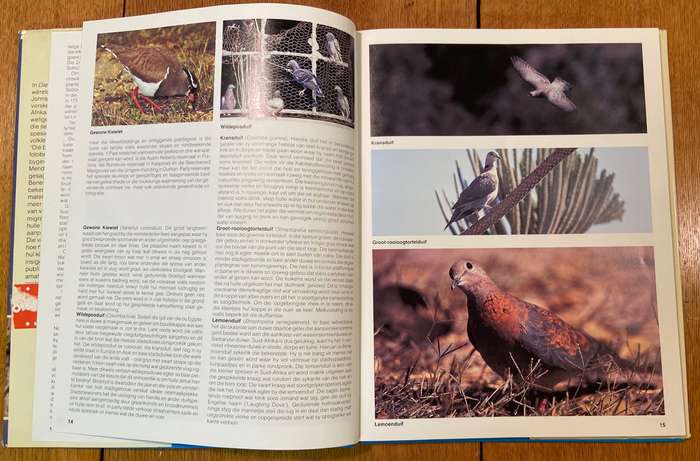 DIE SUID-AFRIKAANSE VOELGIDS - FOTO'S PETER JOHNSON - TEKS JOHN SINCLAIR en JOHN MENDELSON - 1988