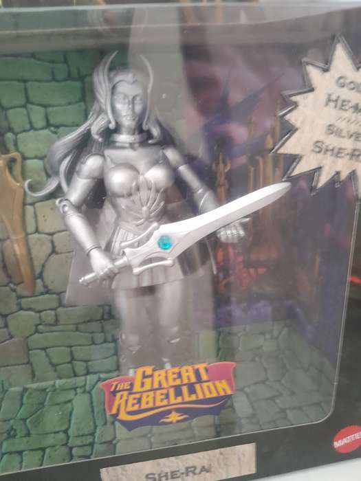 Customized Masters of the Universe Classics Gold He-man & Silver She-Ra Neatly Displayed in a Box