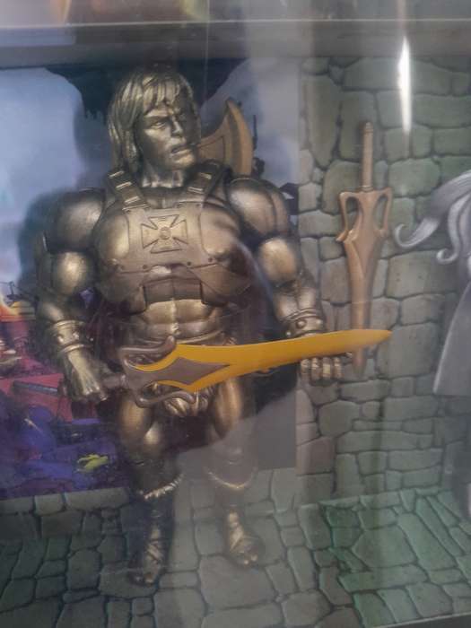Customized Masters of the Universe Classics Gold He-man & Silver She-Ra Neatly Displayed in a Box