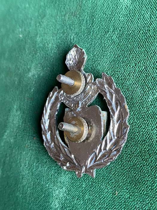 1 CONSTRUCTION  REGIMENT CAP BADGE-APPROVED IN 1986-2X SCREW LUGS