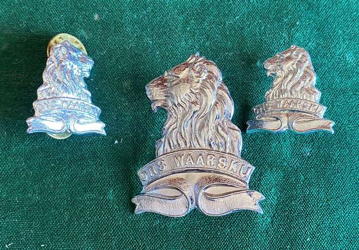 REGIMENT DE LA REY CHROMED CAP AND COLLARS-WORN FROM 1976-LUGS + PINS INTACT
