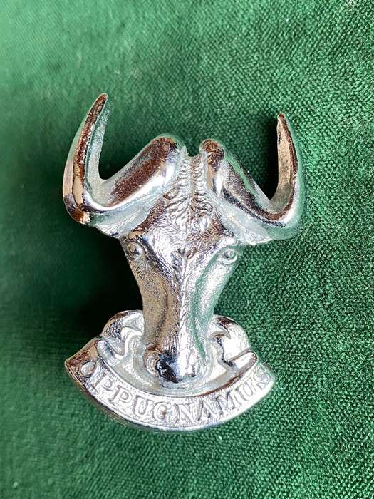 REGIMENT PORT NATAL CHROME CAP BADGE-WORN POST 1976- 2X LUGS