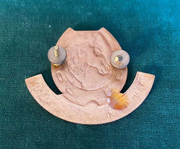TRANSKEI MOUNTED BATTALION LUCITE COVERED CAP BADGE-2X SCREW LUGS