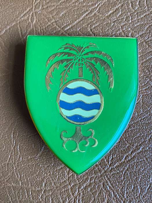 SWA GROOTFONTEIN COMMANDO FLASH-FULL SIZE-LIGHT GREEN VARIATION- 2 PINS