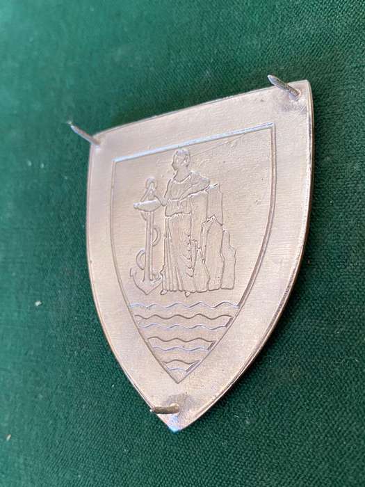 CAPE CORPS SERVICE BATTALION FLASH- 3PINS