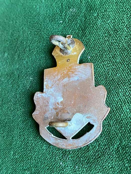 NATAL PROVINCIAL ADMINISTRATION CAP BADGE-2 LUGS-BRASS