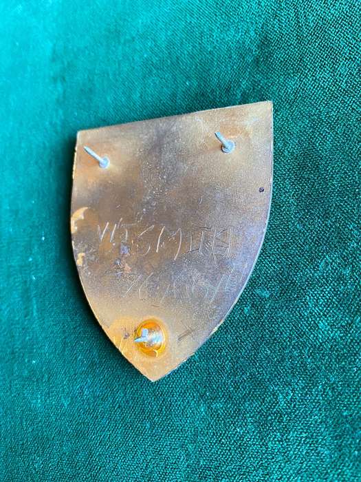 4 SA INFANTRY BN ORANGE TYPE FLASH- 3 PINS