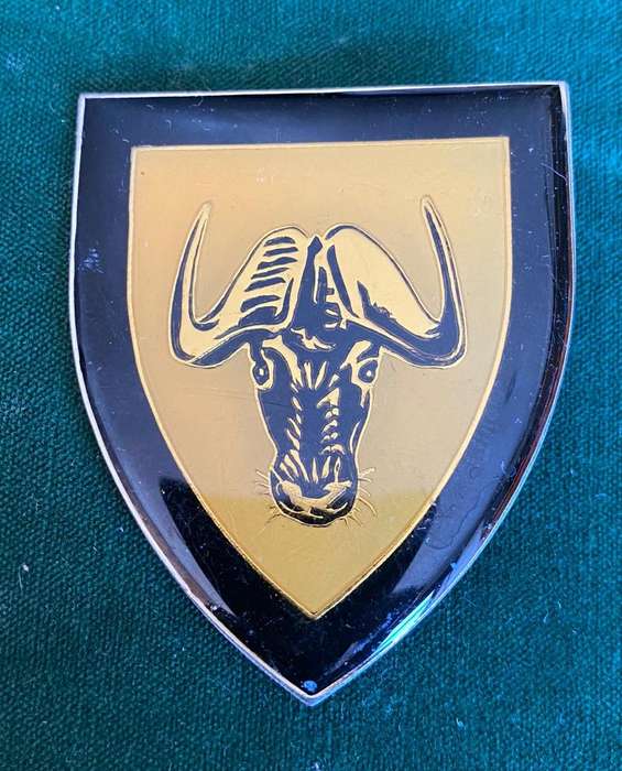 REGIMENT PORT NATAL FLASH - 2 PINS