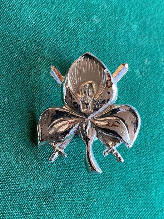 WESTERN PROVINCE COMMAND HQ UNIT CHROMED CAP BADGE-APPROVED IN 1986- 2 PINS