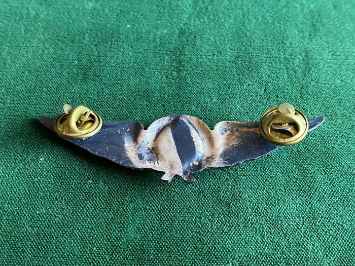 SWA AIR FORCE PILOT,OXIDISED SILVER BREAST BADGE-APPROVED IN 1988- 2 PINS