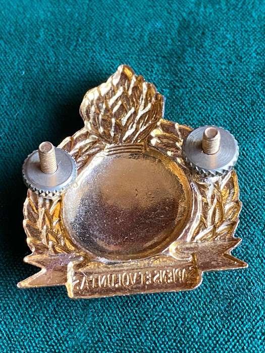 BOPHUTHATSWANA ENGINEERS BI/METAL AND ENAMEL CAP BADGE- 2 X SCREW LUGS