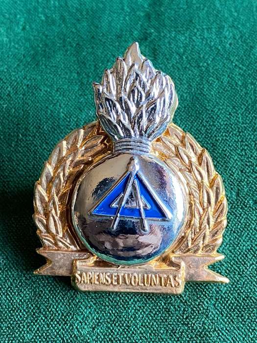 BOPHUTHATSWANA ENGINEERS BI/METAL AND ENAMEL CAP BADGE- 2 X SCREW LUGS
