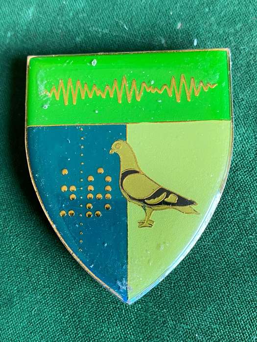 2 SIGNAL REGT. GOLD TYPE FLASH- 3 PINS