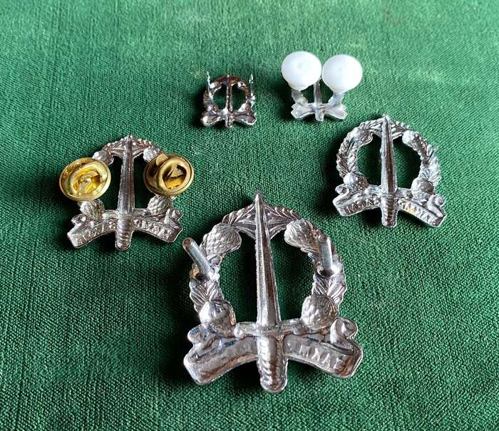 SA CORPS OF MILITARY POLICE CHROME CAP,COLLARS AND MESS DRESS COLLARS-WORN POST 1976-LUGS + PINS INT