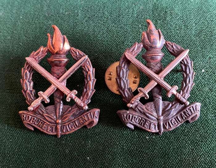 REGT. SCHOONSPRUIT COLLAR BADGE PAIR-WORN FROM 1970'S-PINS INTACT