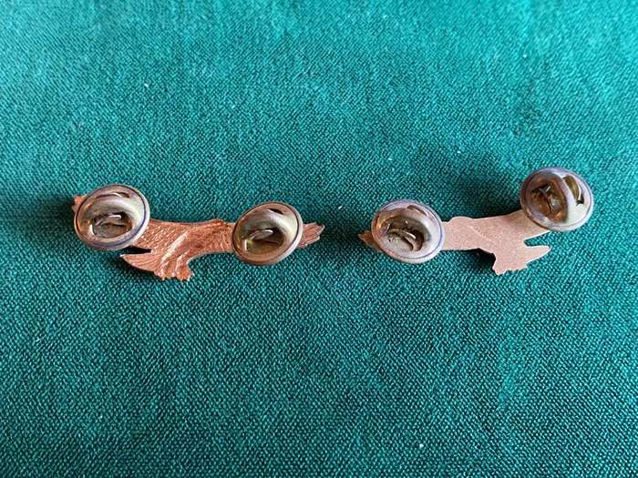 REGT. ORANJERIVIER GILT COLLAR BADGE PAIR-WORN PRE 1970'S-PINS INTACT