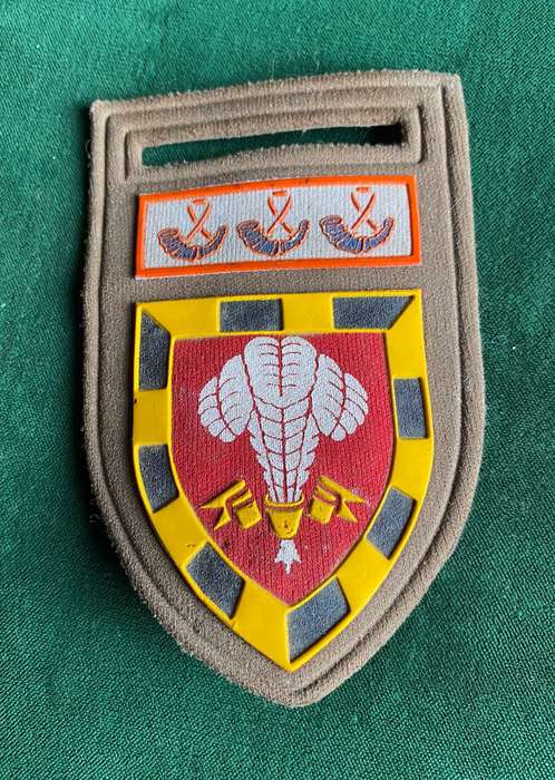 1 SA INFANTRY BATTALION WITH O.F.S. COMMAND BAR- TUPPER FLASH- ONE PIN
