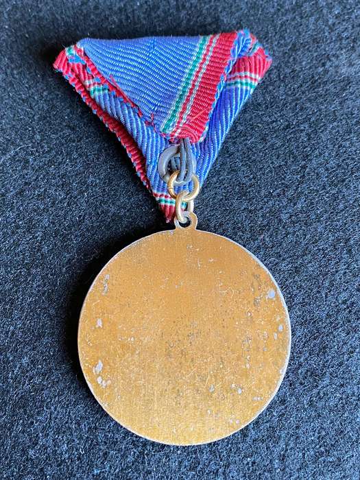 HUNGARIAN,PARATROOPER MERITORIOUS SERVICE MEDAL