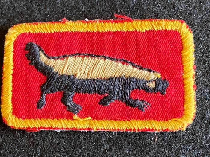 SWA Specialist Unit Instructors Tracker Badge-2nd Type