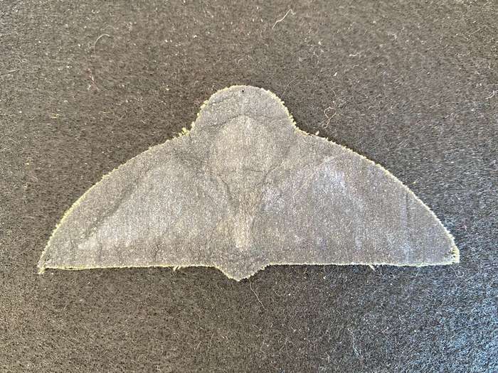 AUSTRALIAN AIRFORCE PARACHUTE WING-1980'S