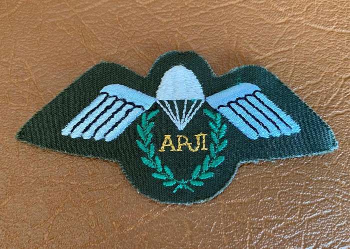 NEW ZEALAND ASSISTANT PARACHUTE INSTRUCTOR WING