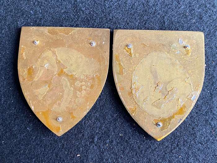 Parachute Brigade 18 Light Regt. Pair of Flashes - No Pins
